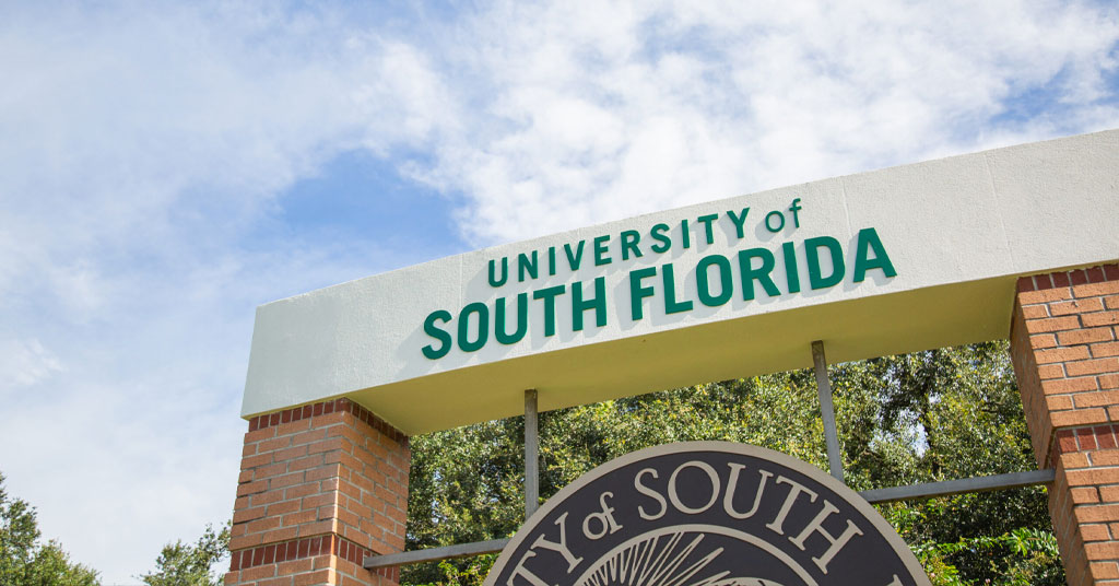 University Of South Florida Image