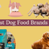 Best Dog Food Brands