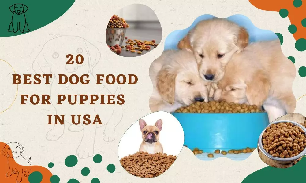 Dog Food For Puppies