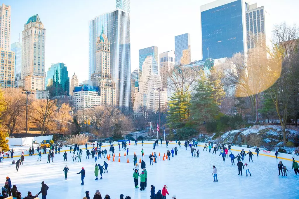 Central Park New York Image