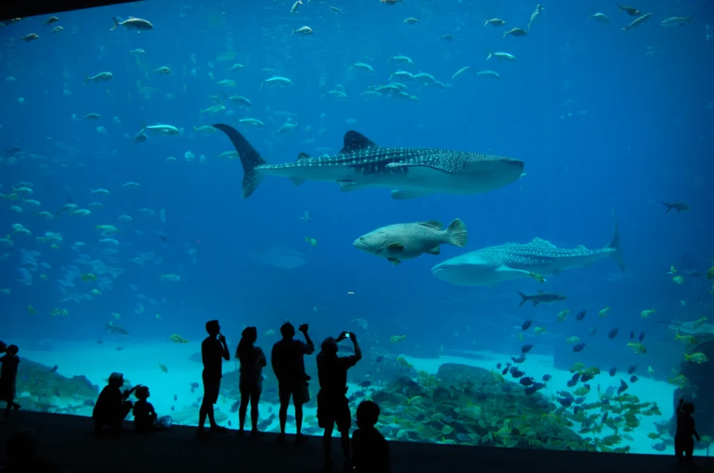 New York Aquarium on Coney Island Image