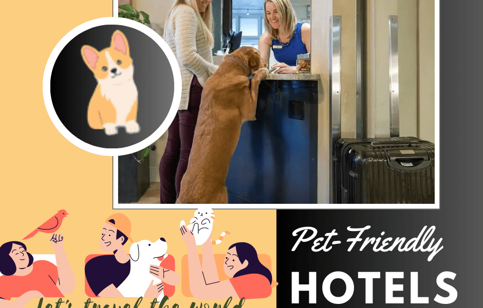 Pet-Friendly Hotels In Oregon Coast( Best in 2023)