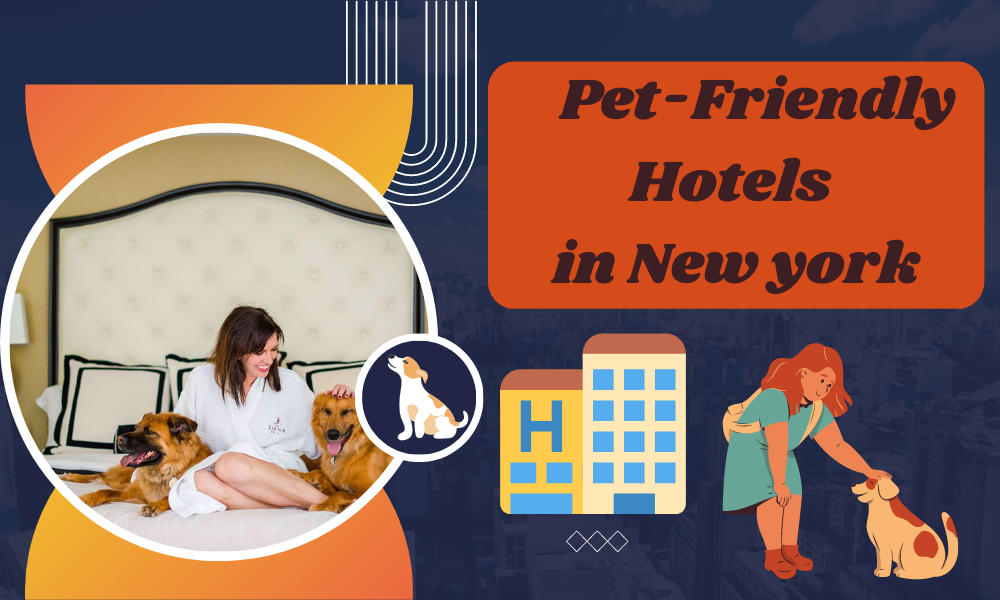 Pet-Friendly Hotels in New York