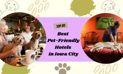 Pet-Friendly Hotels in Iowa City