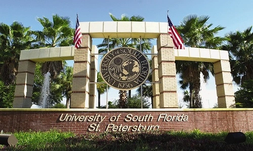 USF-St.petersburg