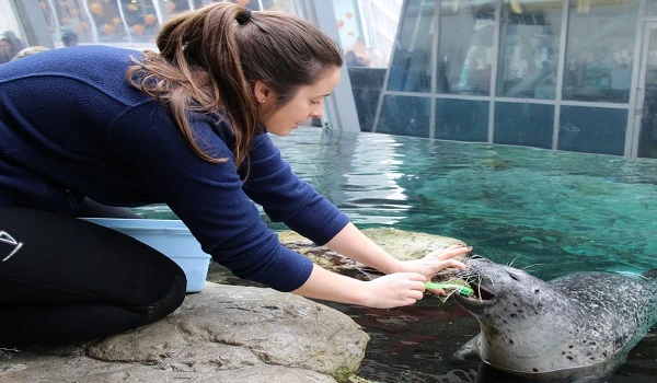 Adventure at New England Aquarium