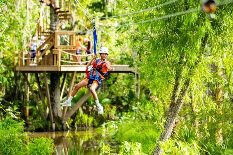 Wetland zip line Image