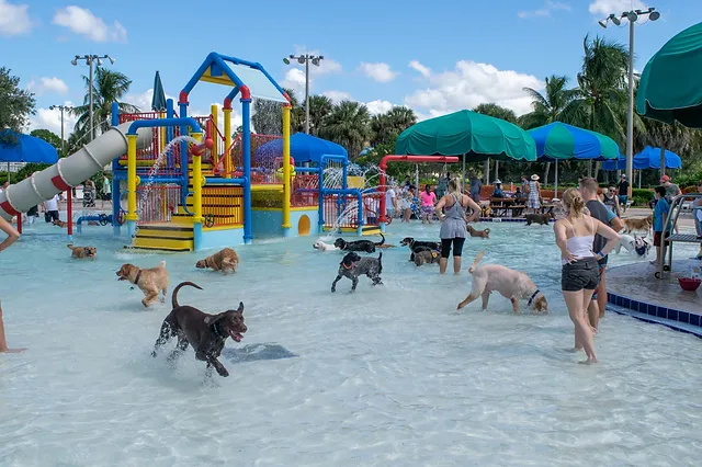 Coconut Cove Waterpark and Community Center Image