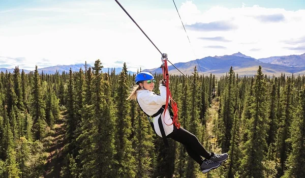 Denali Park Zipline Adventure image