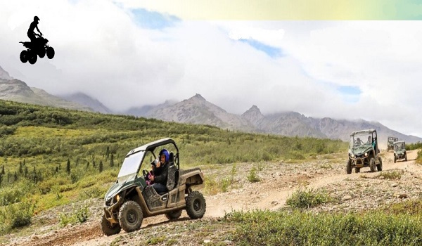 Denali Wilderness ATV Adventure Tour image