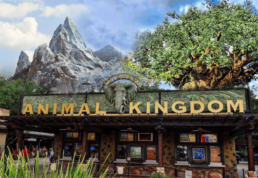 Disney's animal kingdom  Image