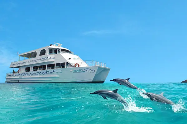 Dolphin Cruise-Fort Myers Beach Image