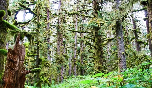 Fort Abercrombie State Historical Park image