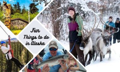 Fun Things to do in Alaska