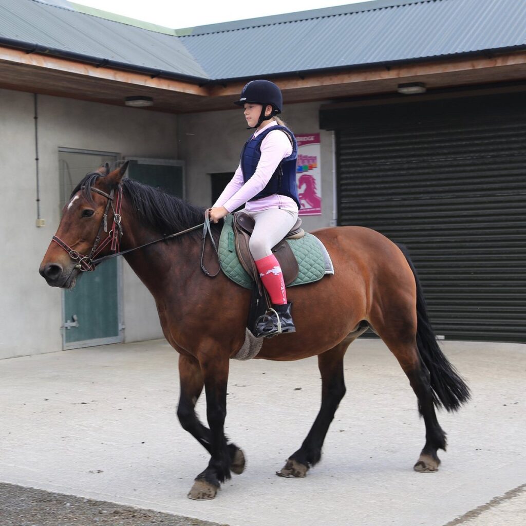 Horse Riding Centre Image