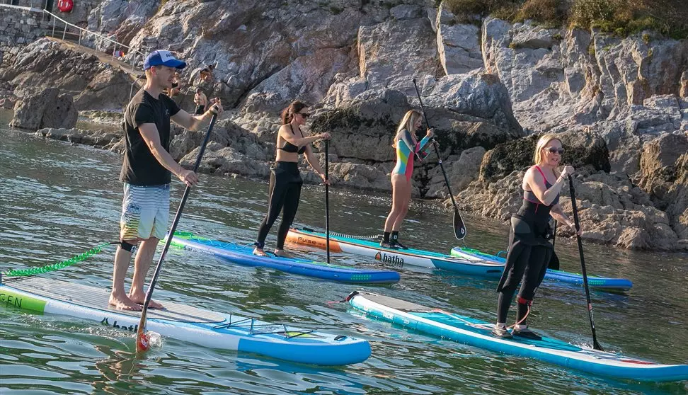 Kayak Or Paddleboard Image