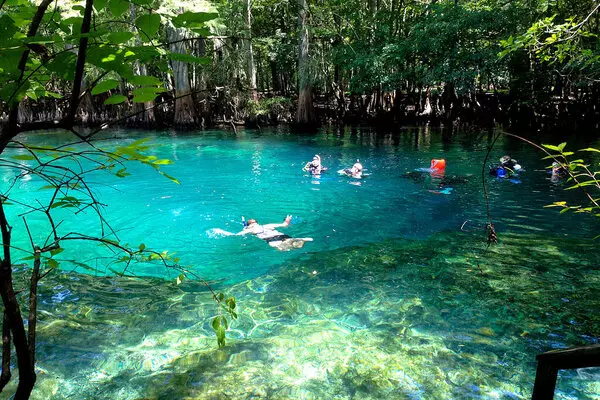 Manatee Sanctuary Park Image