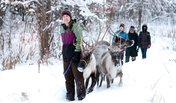 Running Reindeer Ranch image