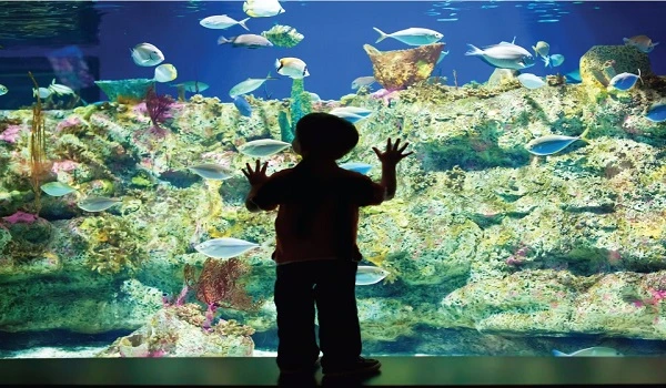 North Carolina Aquarium image