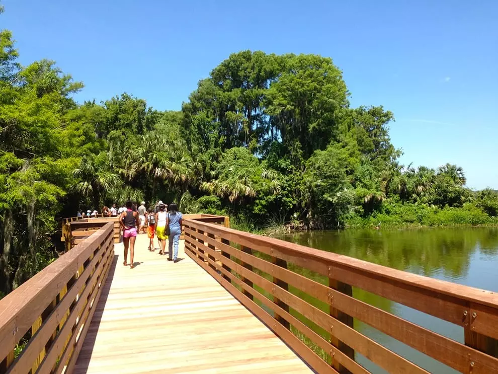 Palm Island Park boardwalk in Mount Dora