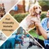 Pet Friendly Hotels Chicago