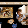 Pet Friendly Hotels In San Antonio