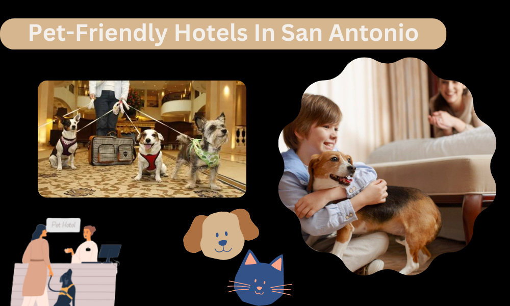 Pet-Friendly Hotels In San Antonio ( Best in 2023)