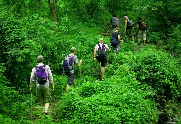 hiking in Grassy Waters Preserve Image