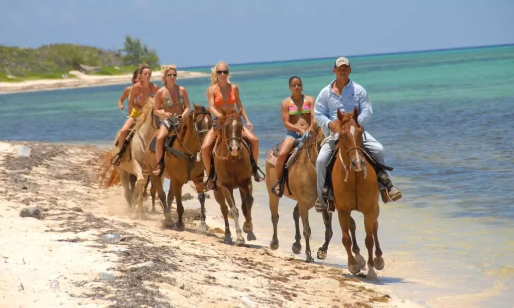 horseback riding adventure Image