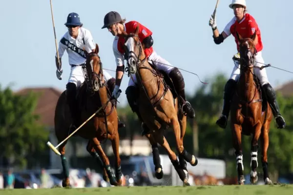 polo at The Pavilion Image