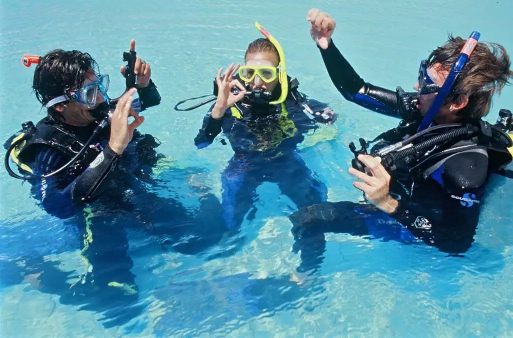 snorkeling Image