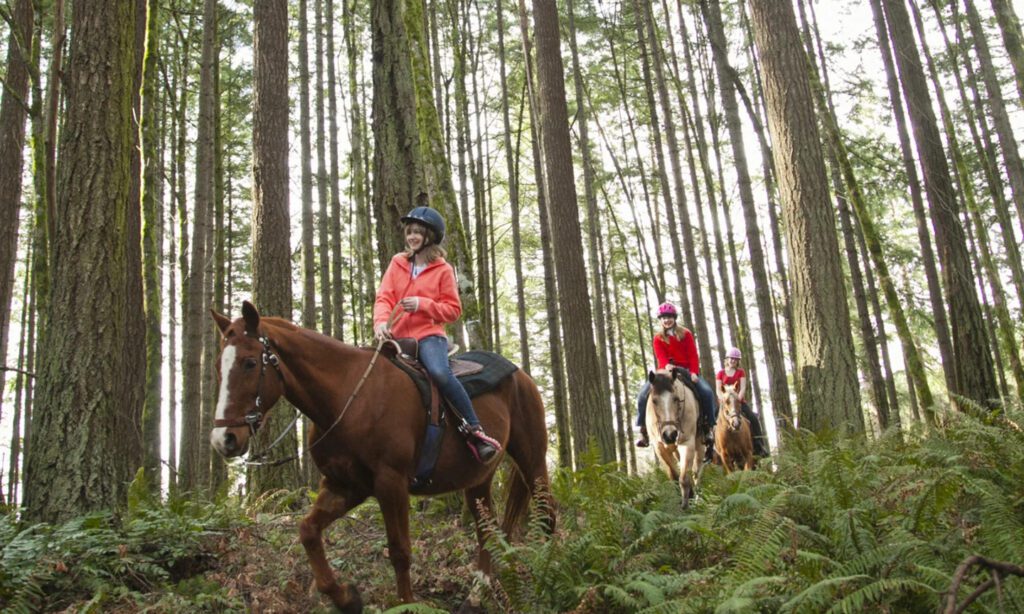 Fun Things To Do in Mount Hood 17 Horse Riding image
