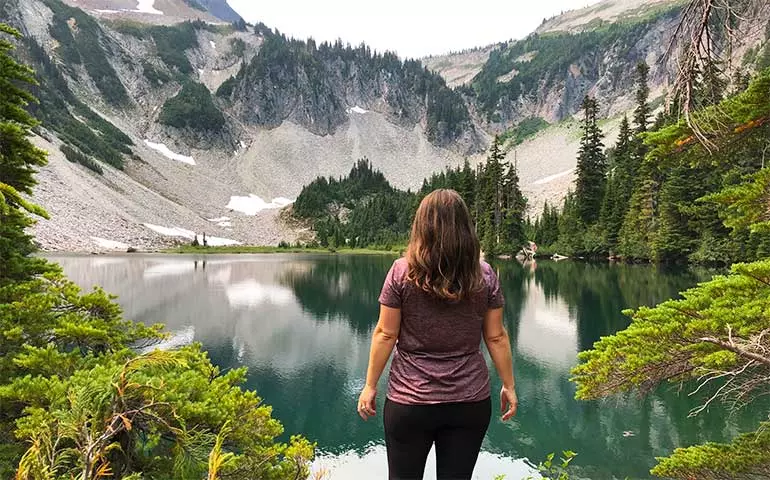 PARADISE in Mount Rainier Image