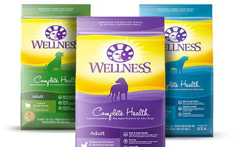 Wellness-Complete-Health-Dry-Dog-Food