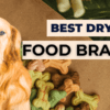 Best dry dog food brands