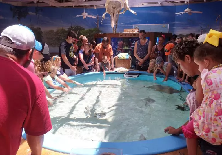 Marine Science Center Daytona