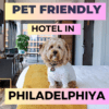 pet-friendly hotels in philadelphia