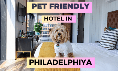 pet-friendly hotels in philadelphia