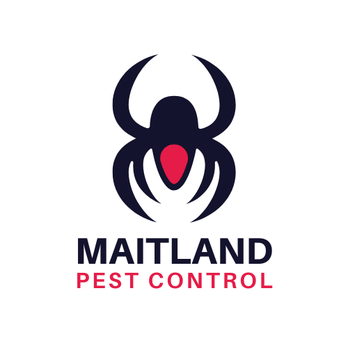 Maitland-Pest-Control