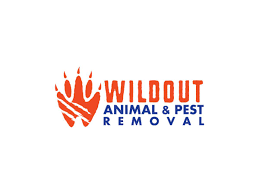 Wildout-Animal-Pest-Removal-Orlando