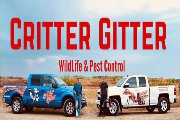 Critter Gritter Wildlife Removal