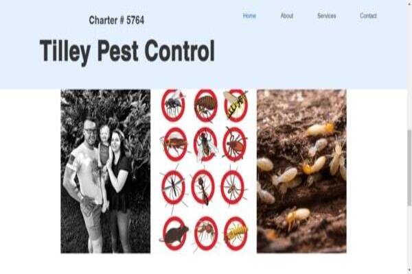 Tilley pest control