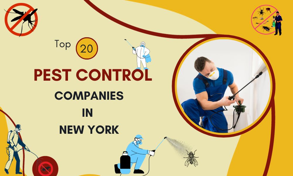 Top 20 Best Pest Control Companies in New York