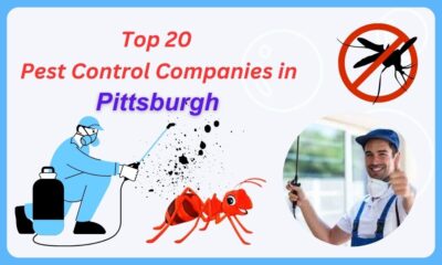 Pest Control Pittsburgh