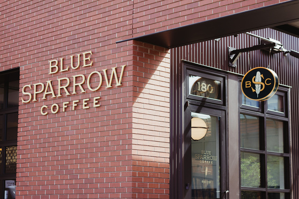 blue sparrow coffee