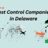 pest control Delaware