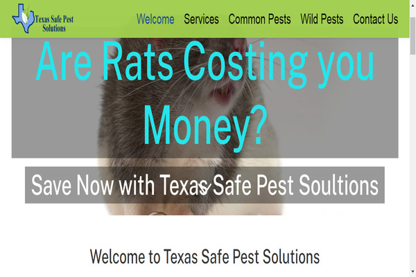 Texas Safe Pest Solutions