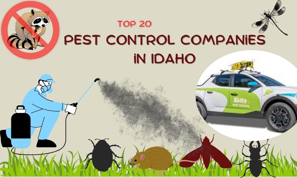 Pest Control Idaho