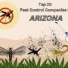 Pest Control Arizona
