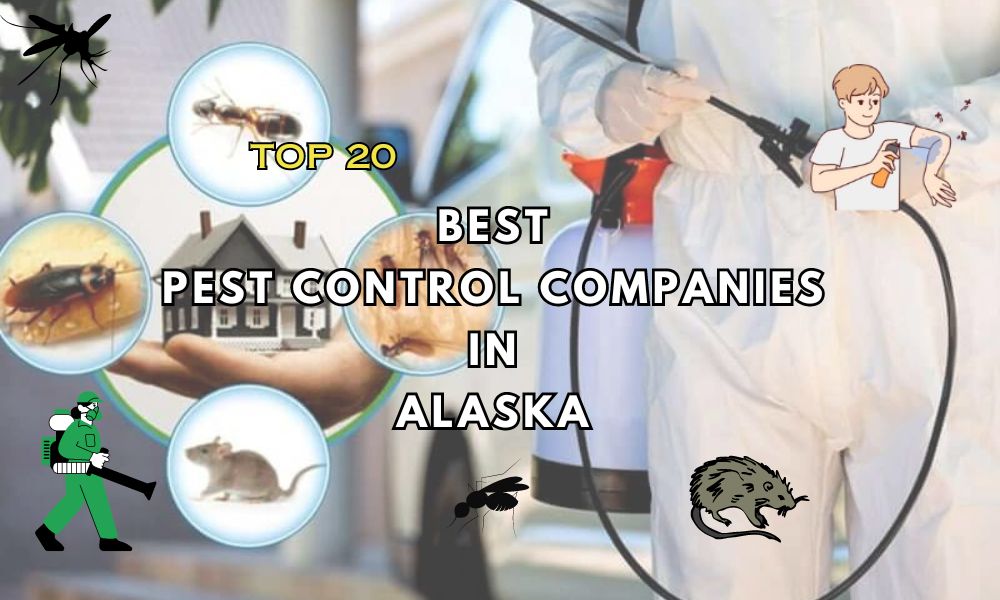 Top 20 Best Pest Control Companies in Alaska | Pest Control Alaska